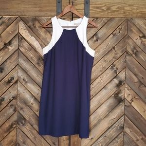 Navy & White Dress • Banana Republic • Size 12